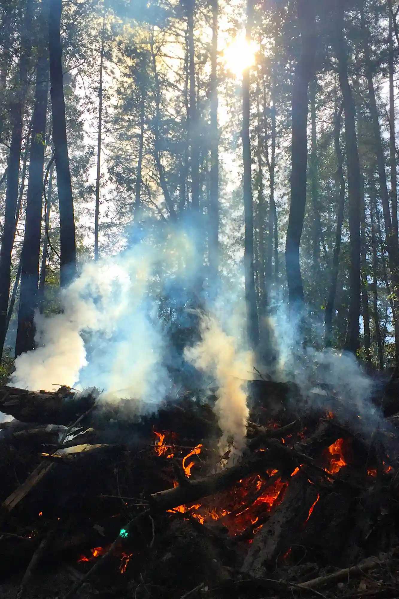 Loutraki Fire Πρόληψη