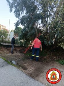 Φωτιά στο Λουτράκι πλησίον 2ου Δημοτικού