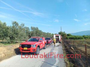 Πυρκαγιά Άγιο Δημήτριο Κεχριών